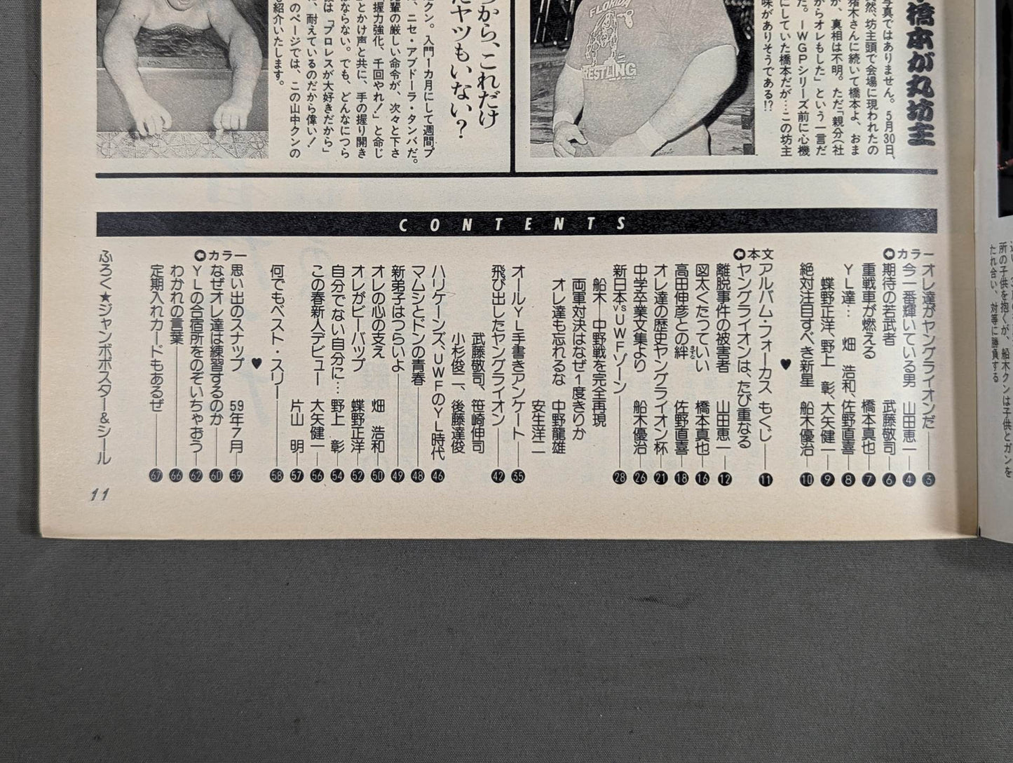プロレスアルバム68 羽ばたけヤングライオン