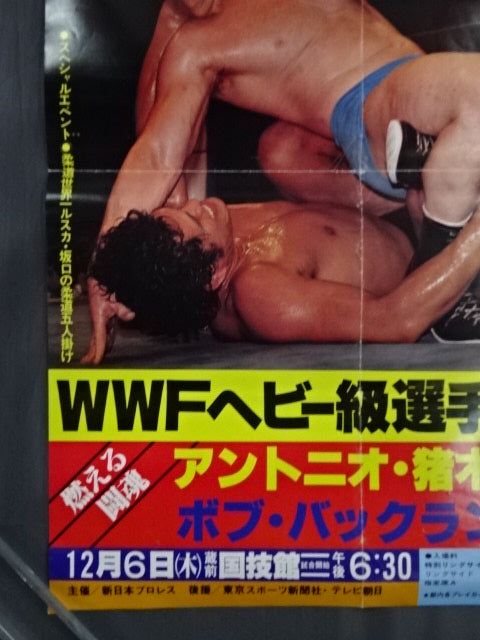 ★WWFヘビー級選手権試合★ アントニオ猪木vsボブ・バックランド