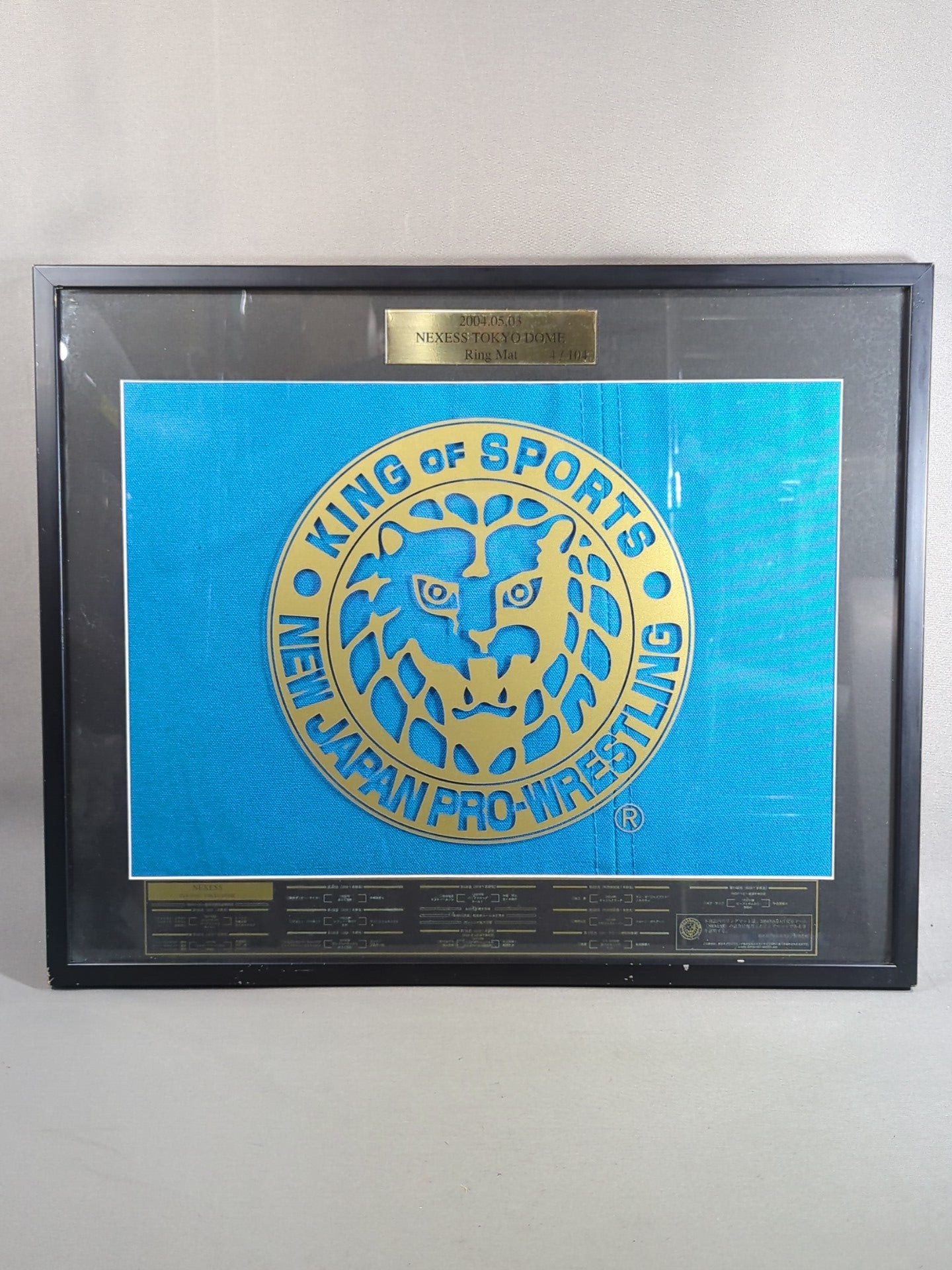 New Japan Pro Wrestling 【2004.05.03 NEXESS TOKYO DOME】 worn by him ring mat