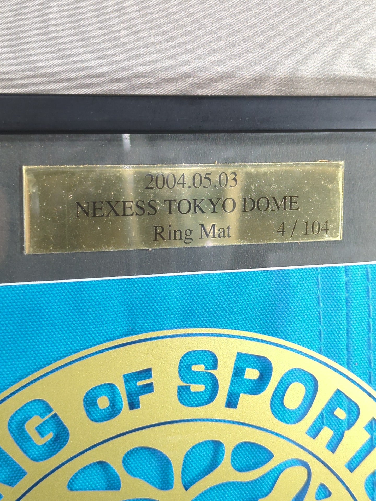 New Japan Pro Wrestling 【2004.05.03 NEXESS TOKYO DOME】 worn by him ring mat
