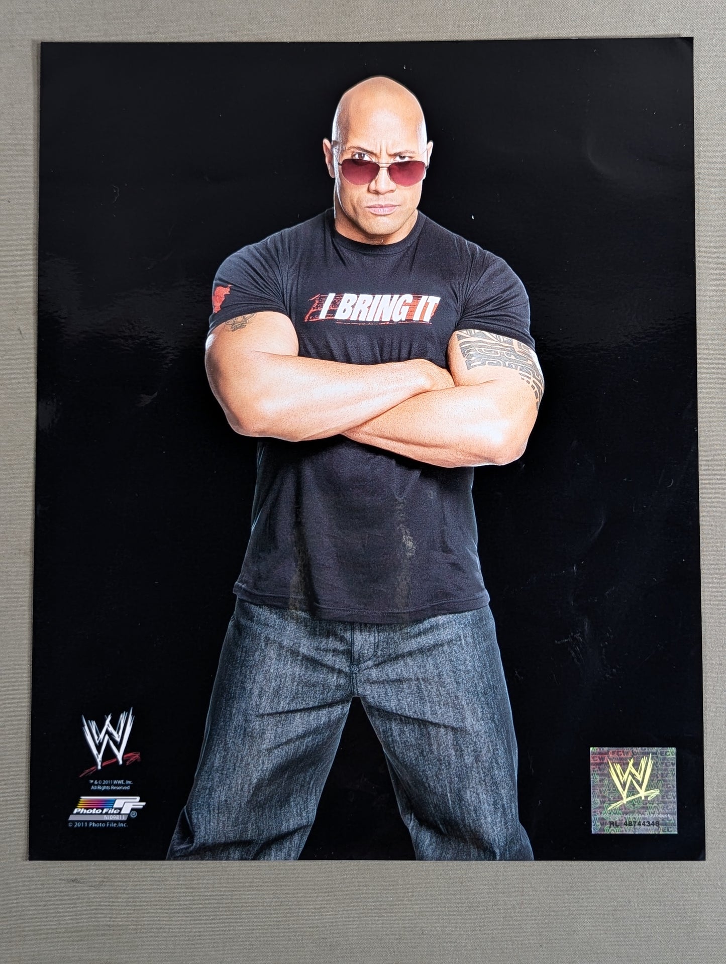 WWE ポートレート 3枚セット