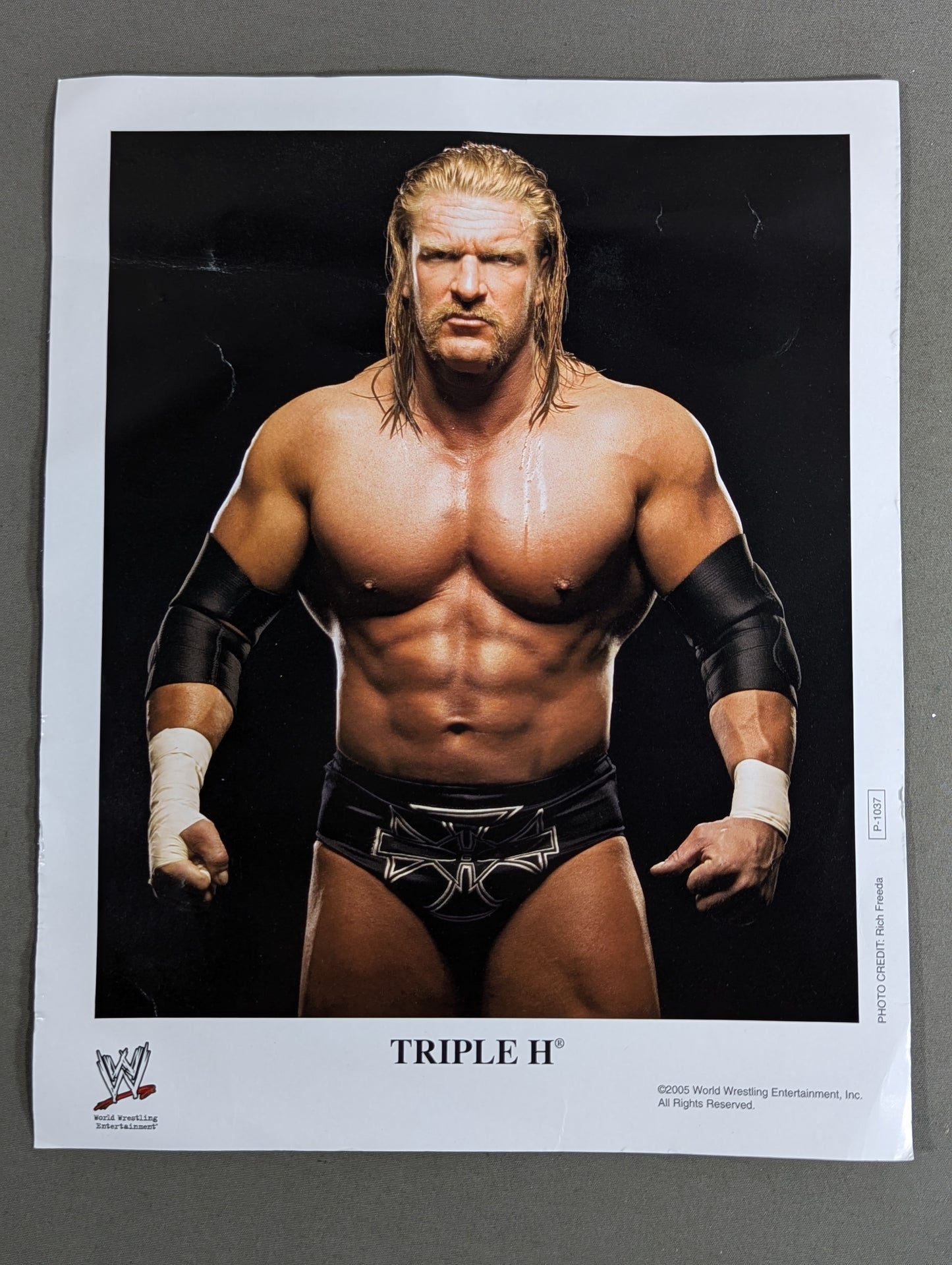 WWE ポートレート 3枚セット