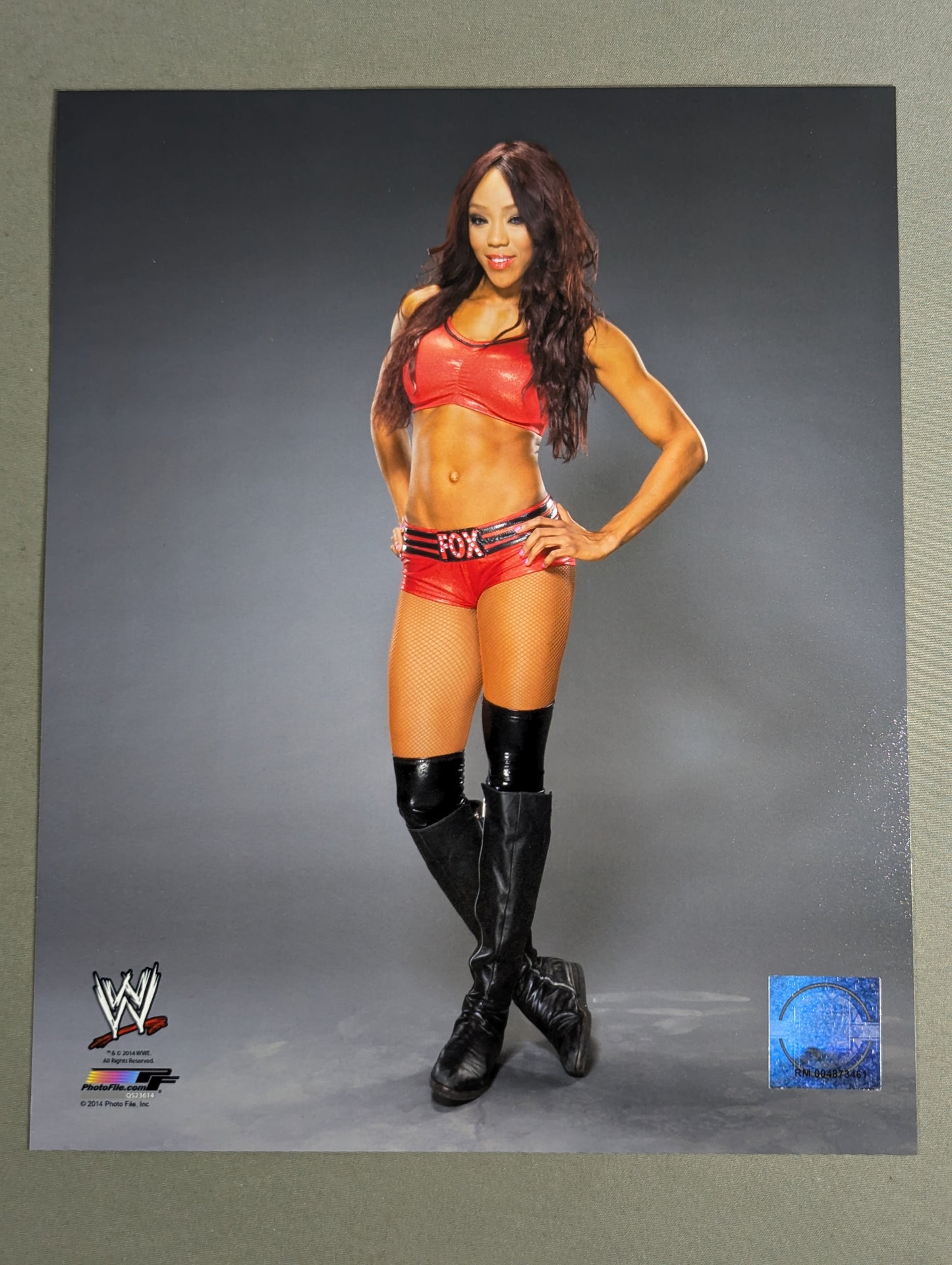 WWE ポートレート 2枚セット