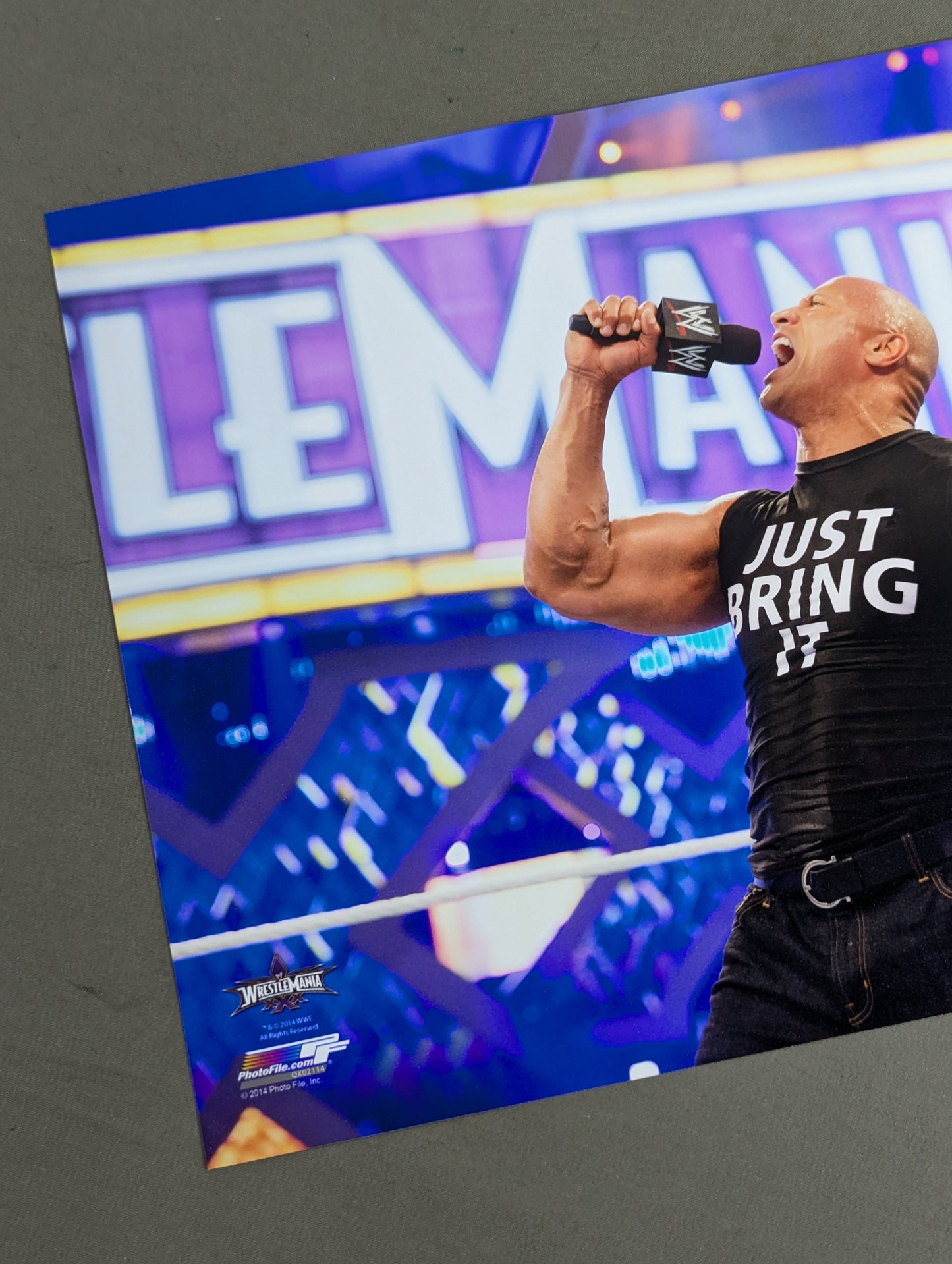 ザ・ロック WWE ポートレート