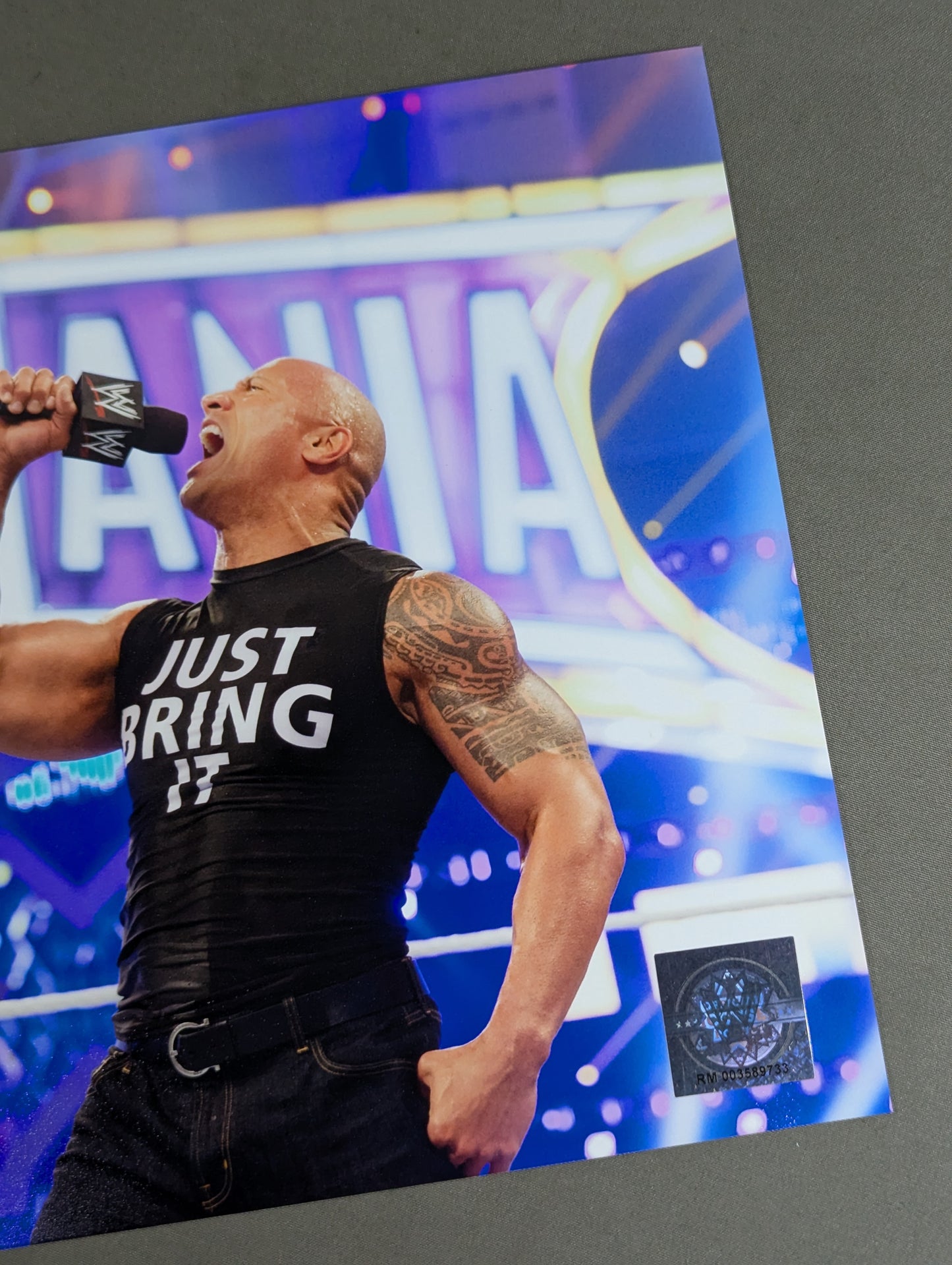 ザ・ロック WWE ポートレート