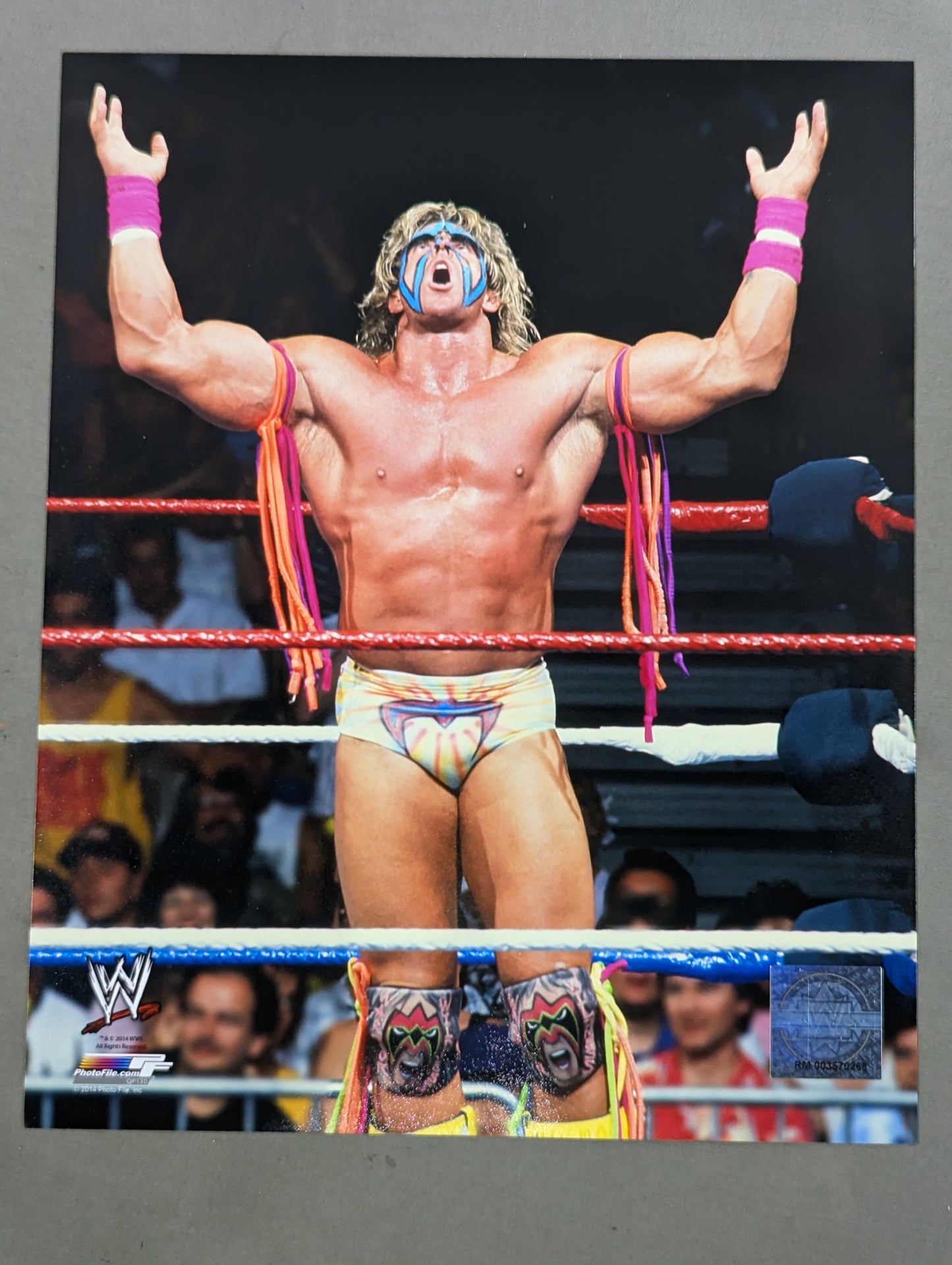 アルティメット・ウォリアー WWE ポートレートセット