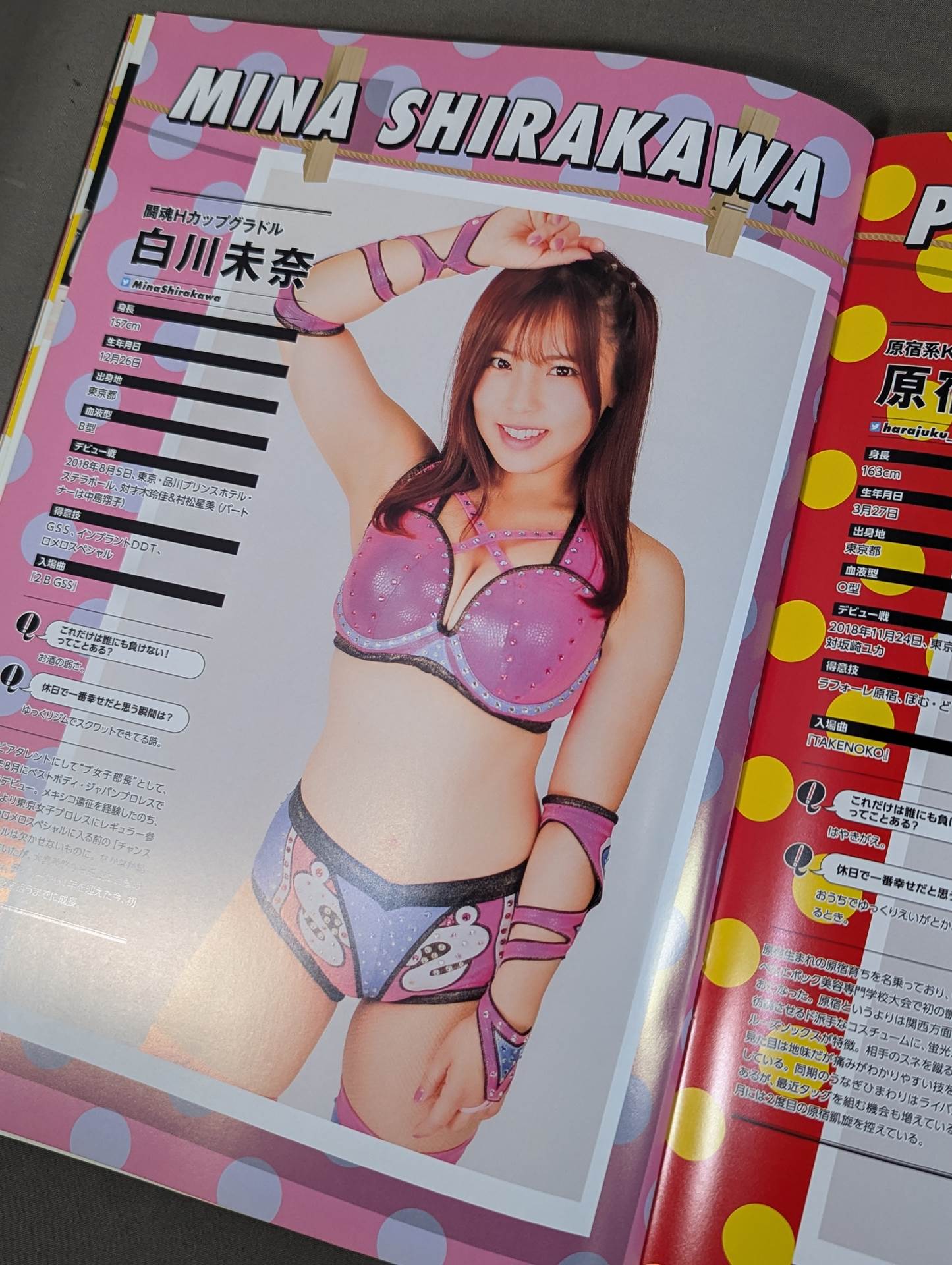 東京女子プロレス オフィシャルプログラム TJPW Vol.9