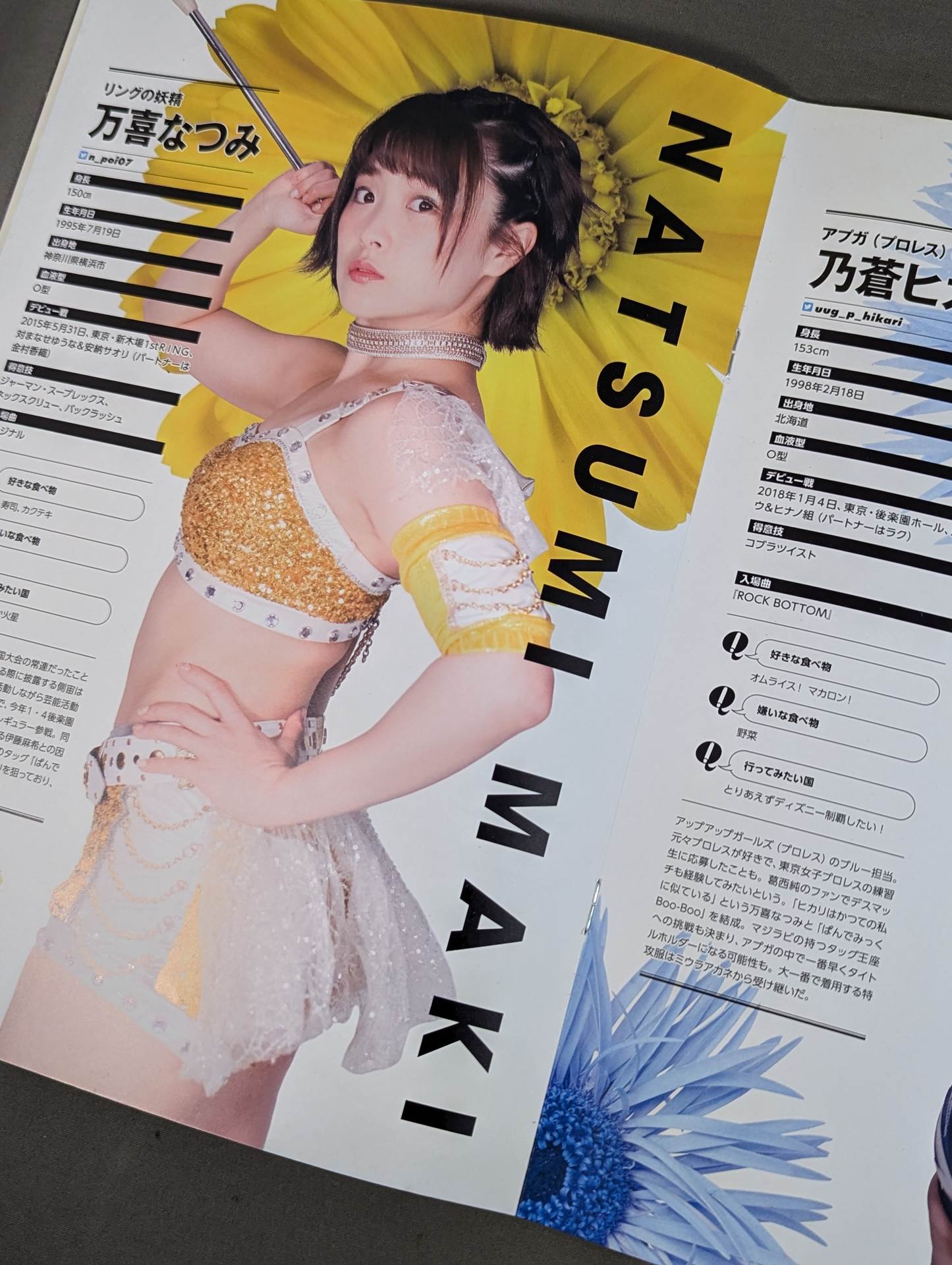 東京女子プロレス オフィシャルプログラム TJPW Vol.8