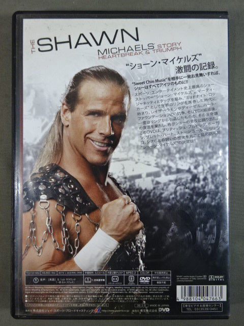 Sean Michaels Heartbreak & Triumph