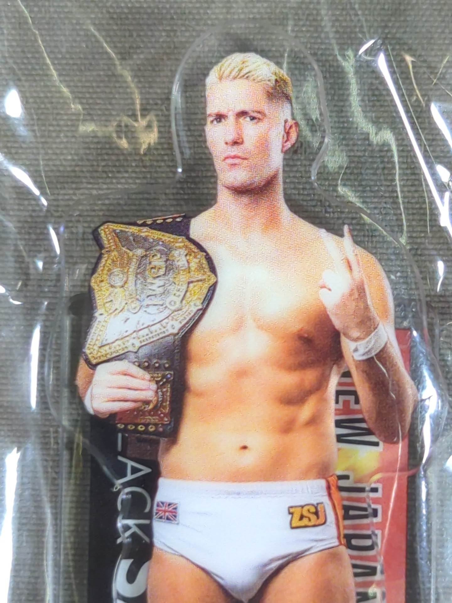 ★ Shinnichi Premium Lottery ★ Zack Sabre Jr . Acrylic Stand