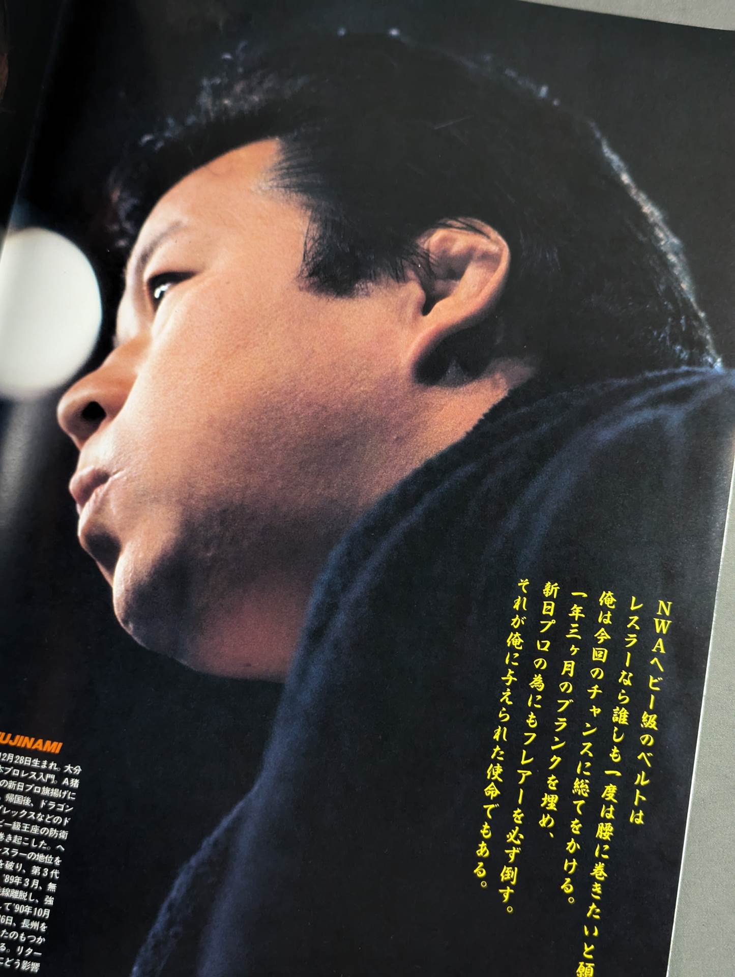 ★ Fujinami vs Flair NWA 91 ★ Starcade in Fighting Dream