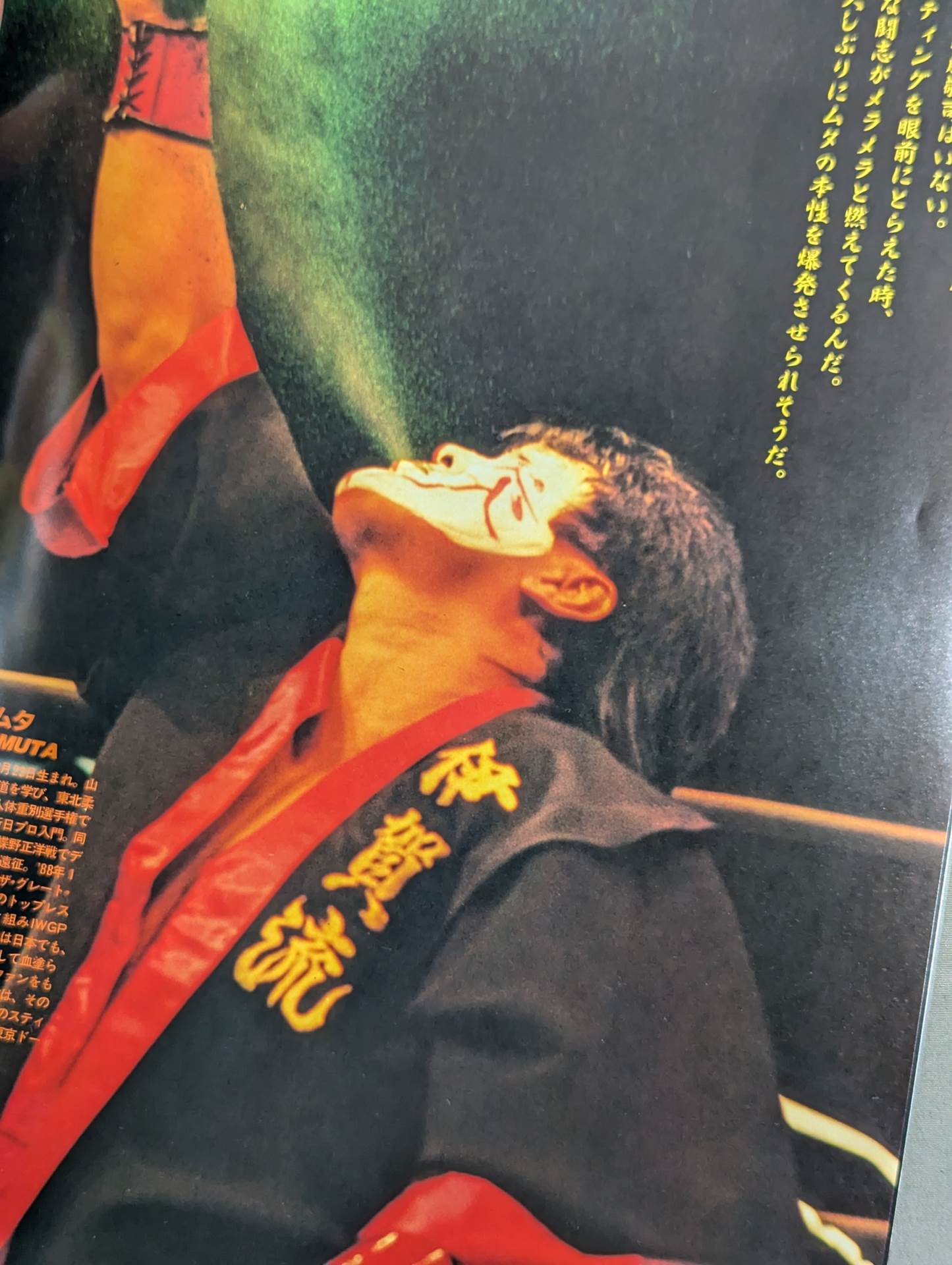 ★ Fujinami vs Flair NWA 91 ★ Starcade in Fighting Dream