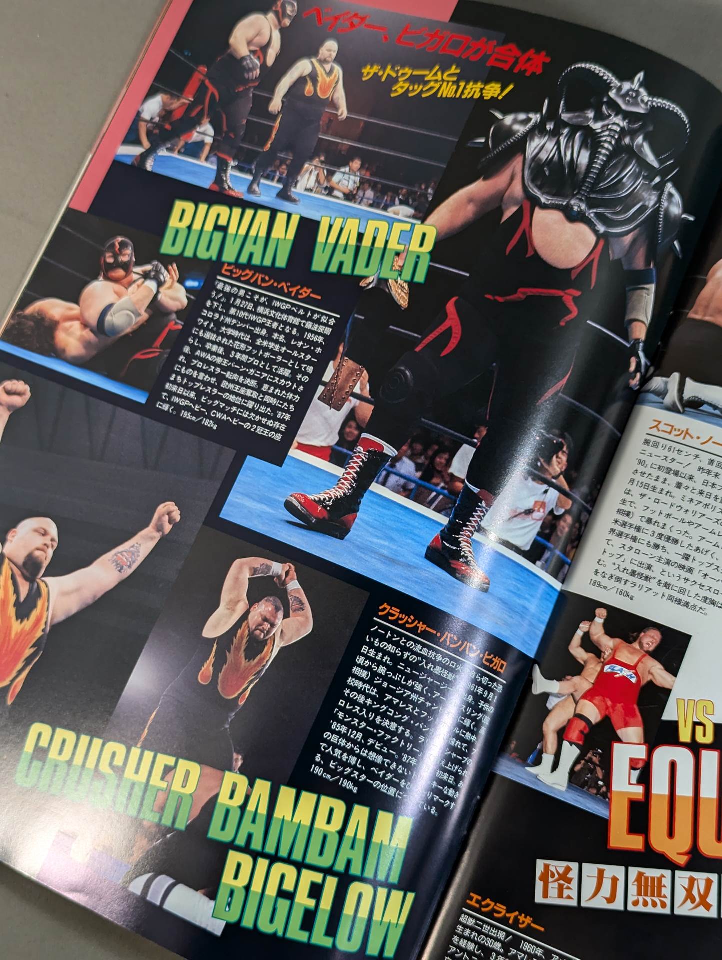 ★ Fujinami vs Flair NWA 91 ★ Starcade in Fighting Dream