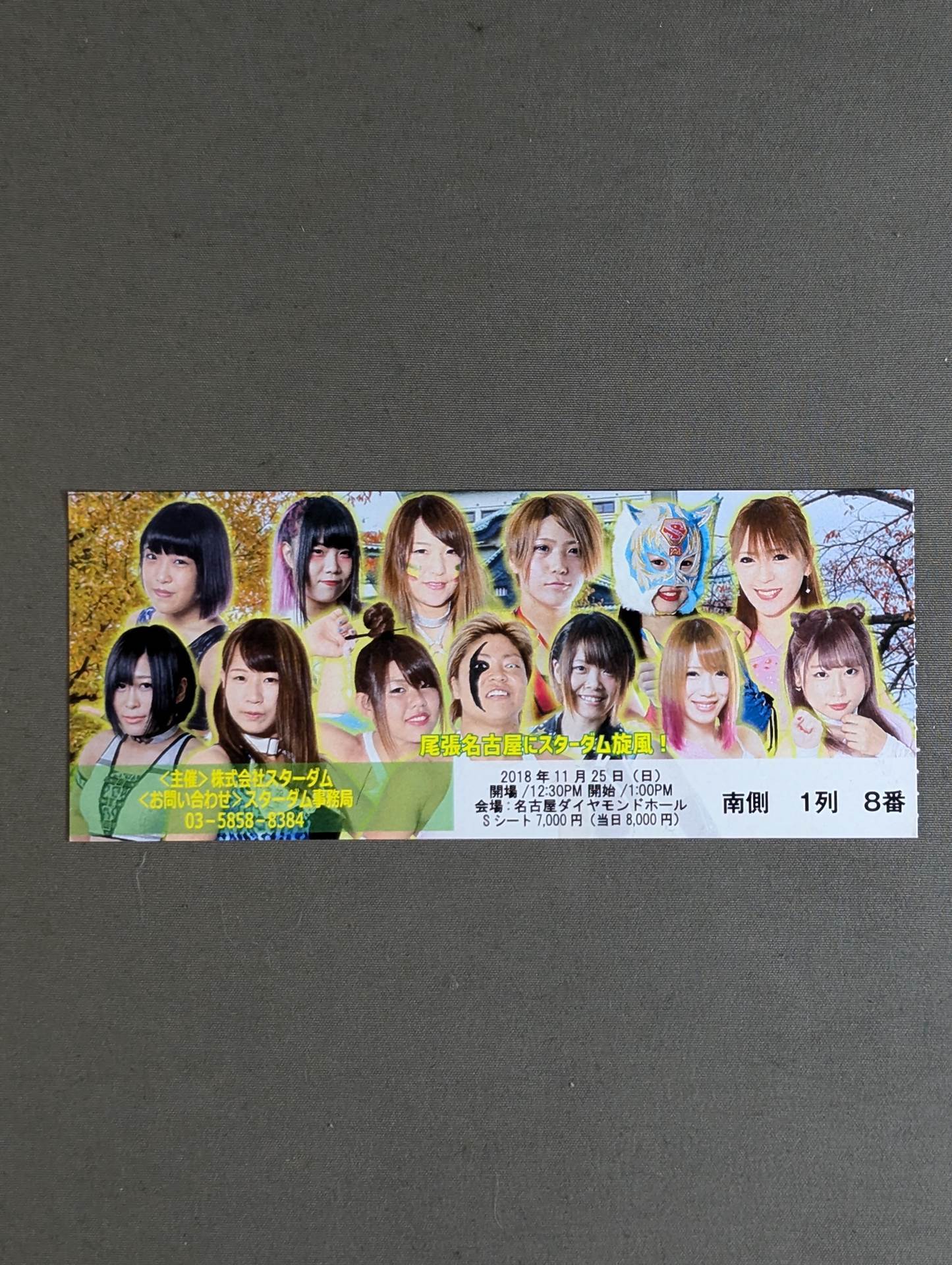 STARDOM GODDESSES OF STARS 2018