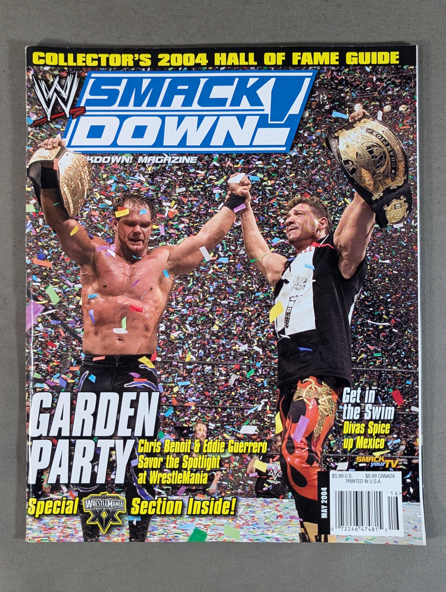 SMACK DOWN MAGAZINE 2004年5月号