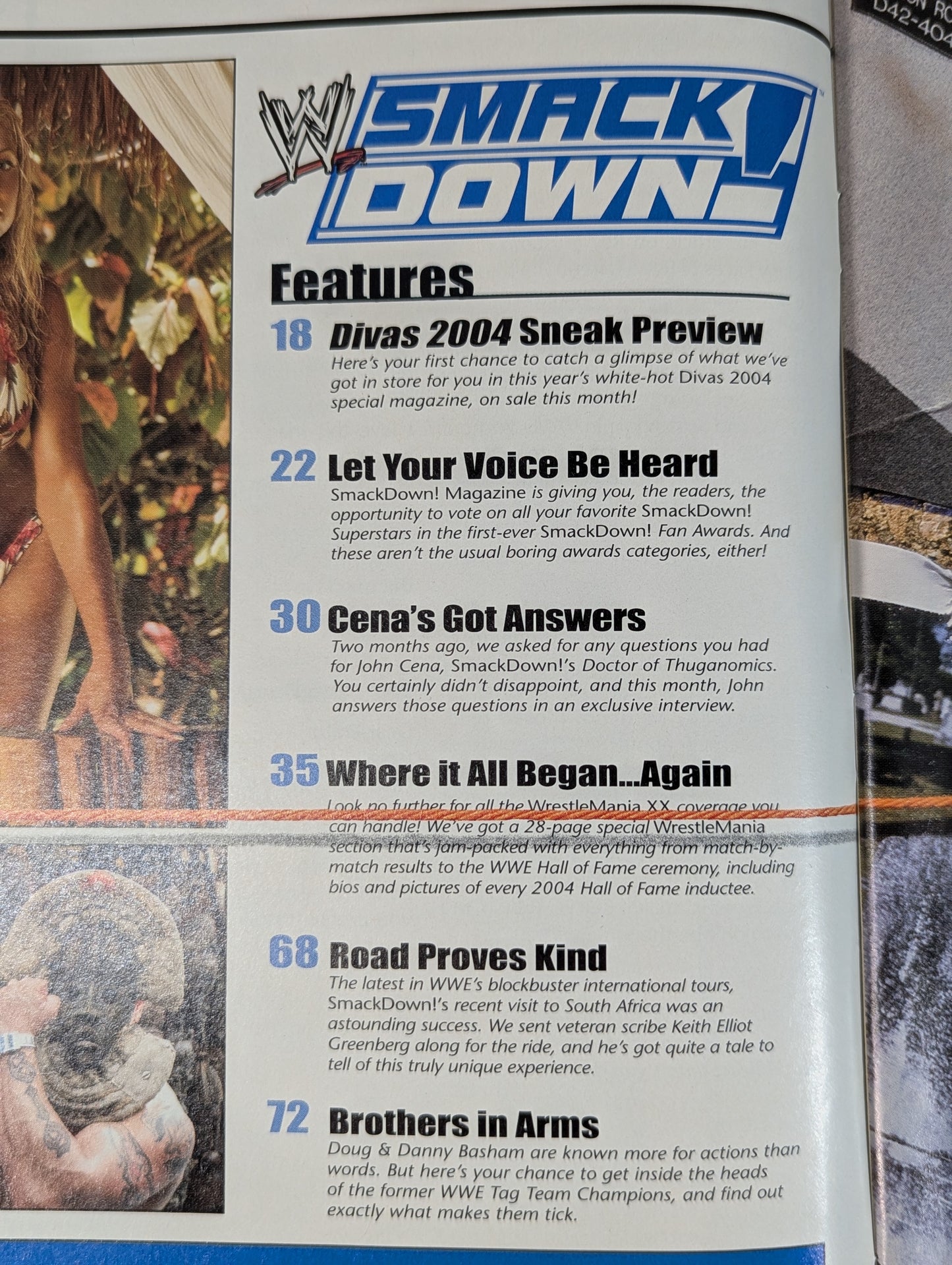 SMACK DOWN MAGAZINE 2004年5月号
