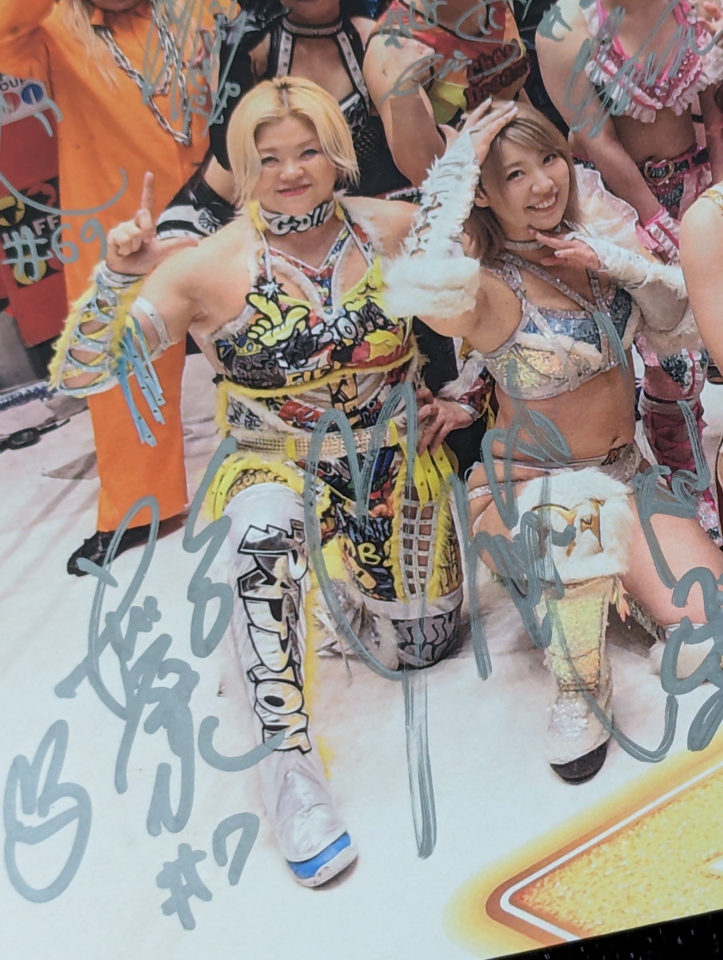 ★ All 23 fighters hand signed autograph ★ Marigold photo panel