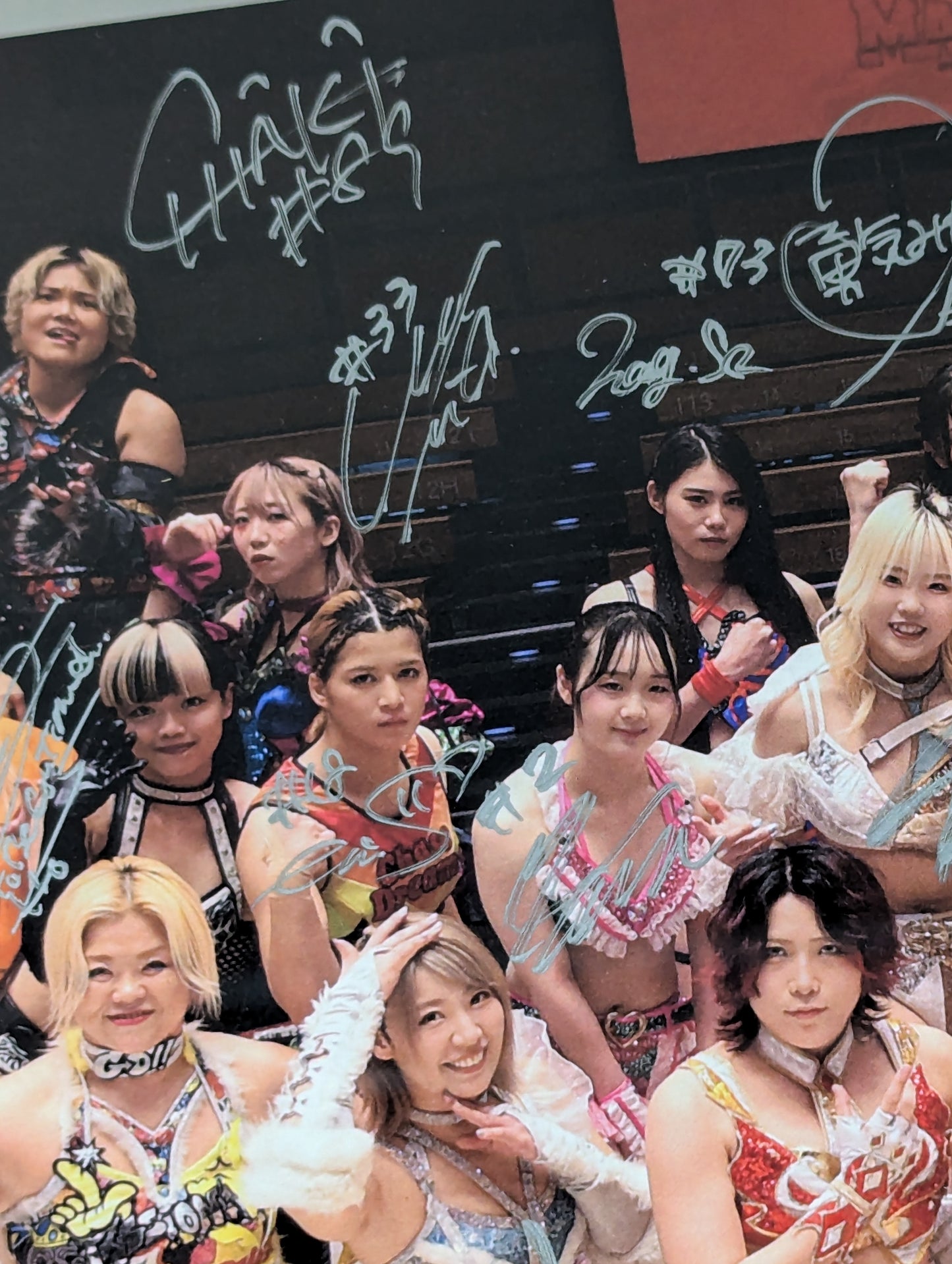 ★ All 23 fighters hand signed autograph ★ Marigold photo panel