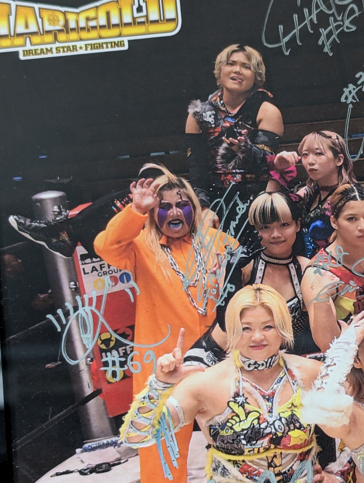 ★ All 23 fighters hand signed autograph ★ Marigold photo panel