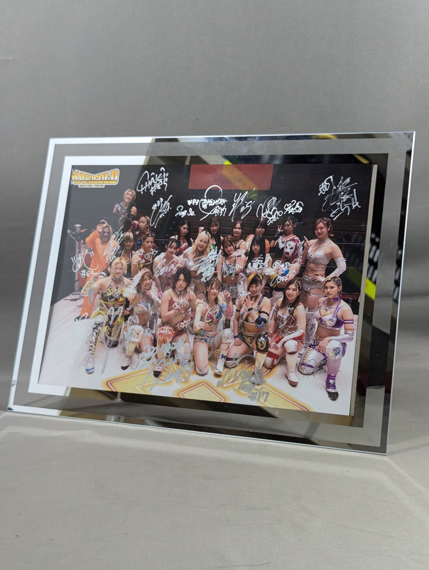 ★ All 23 fighters hand signed autograph ★ Marigold photo panel