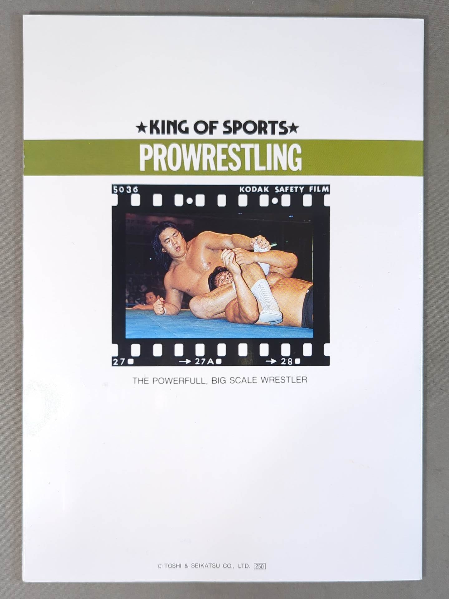 Riki Choshu Notes