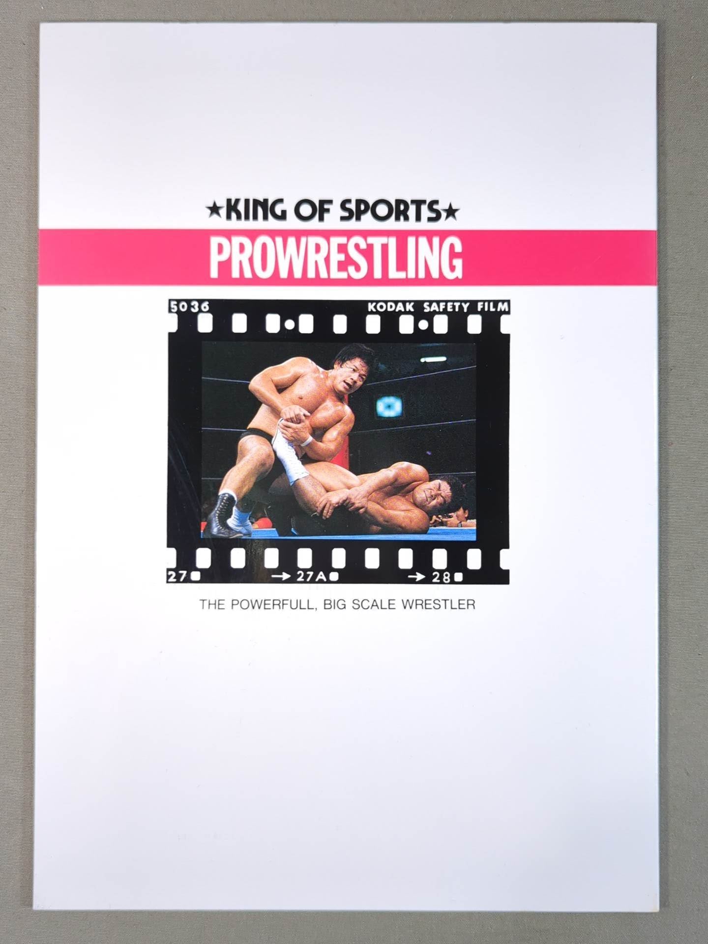 Tatsumi Fujinami Notebook