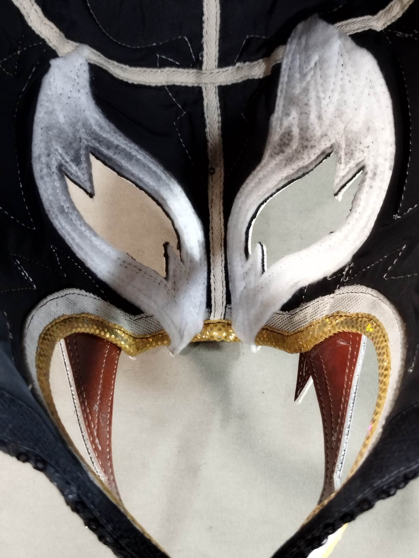 puma