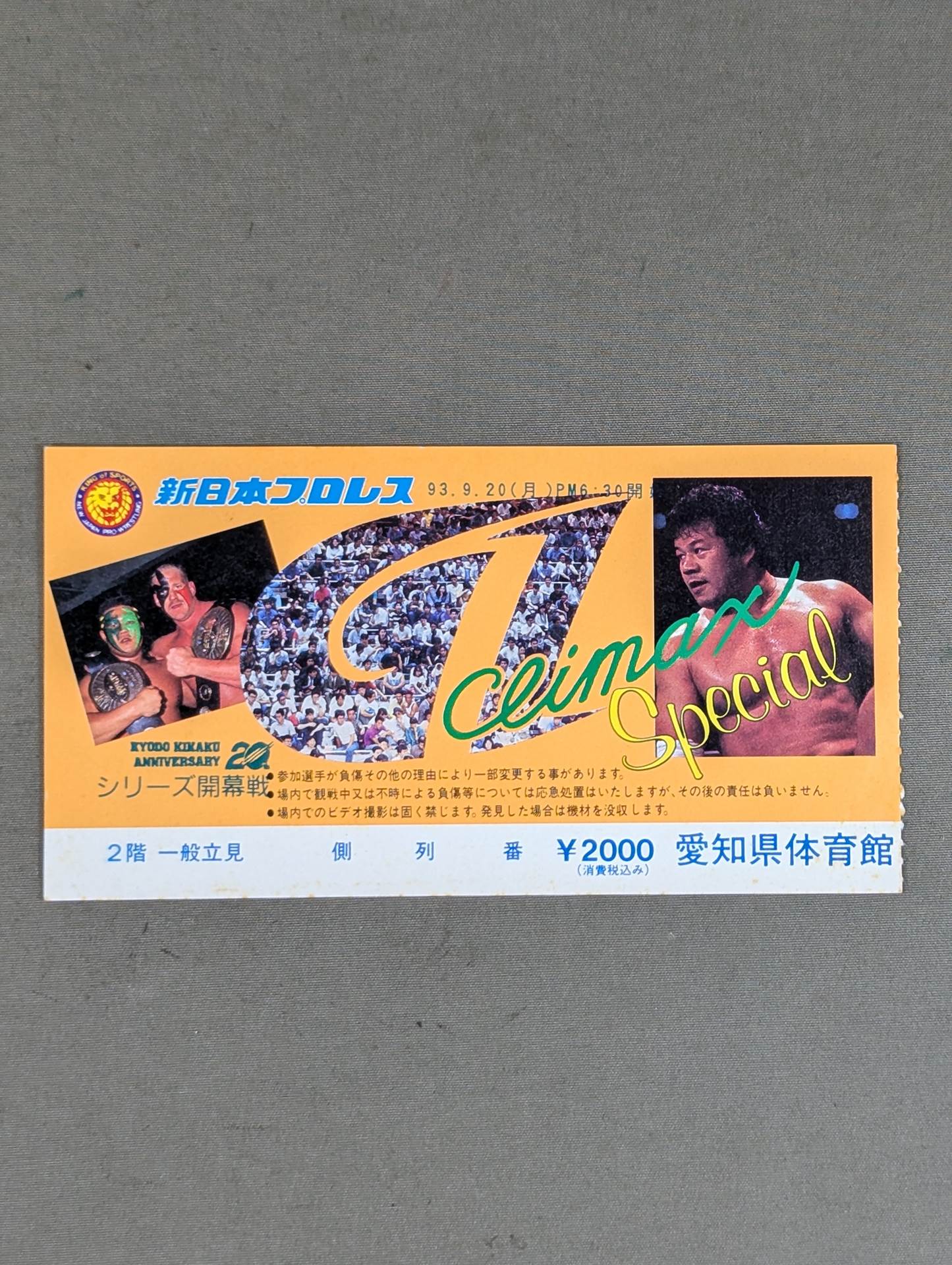 G1 Climax Special 1993