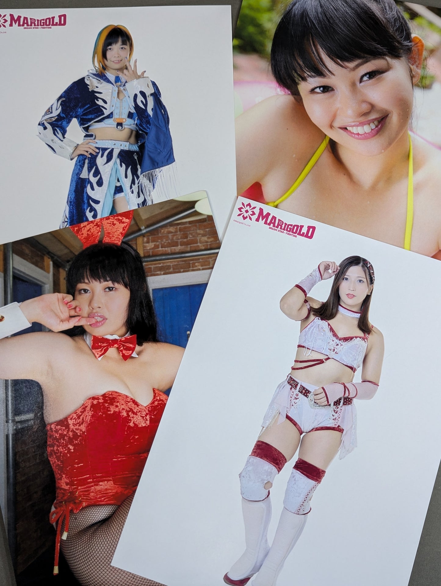 女子プロレス ポートレート 29枚セット
