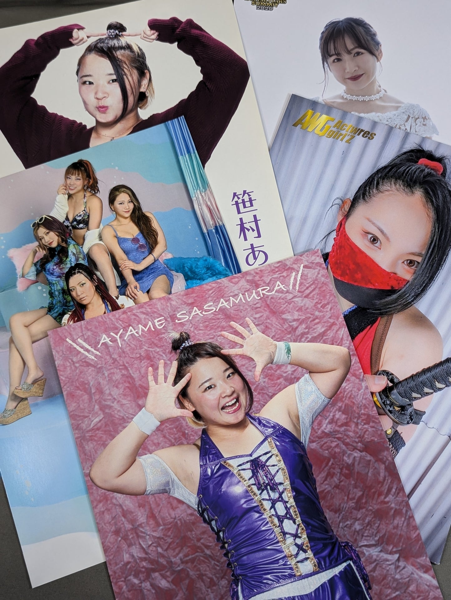 女子プロレス ポートレート 29枚セット