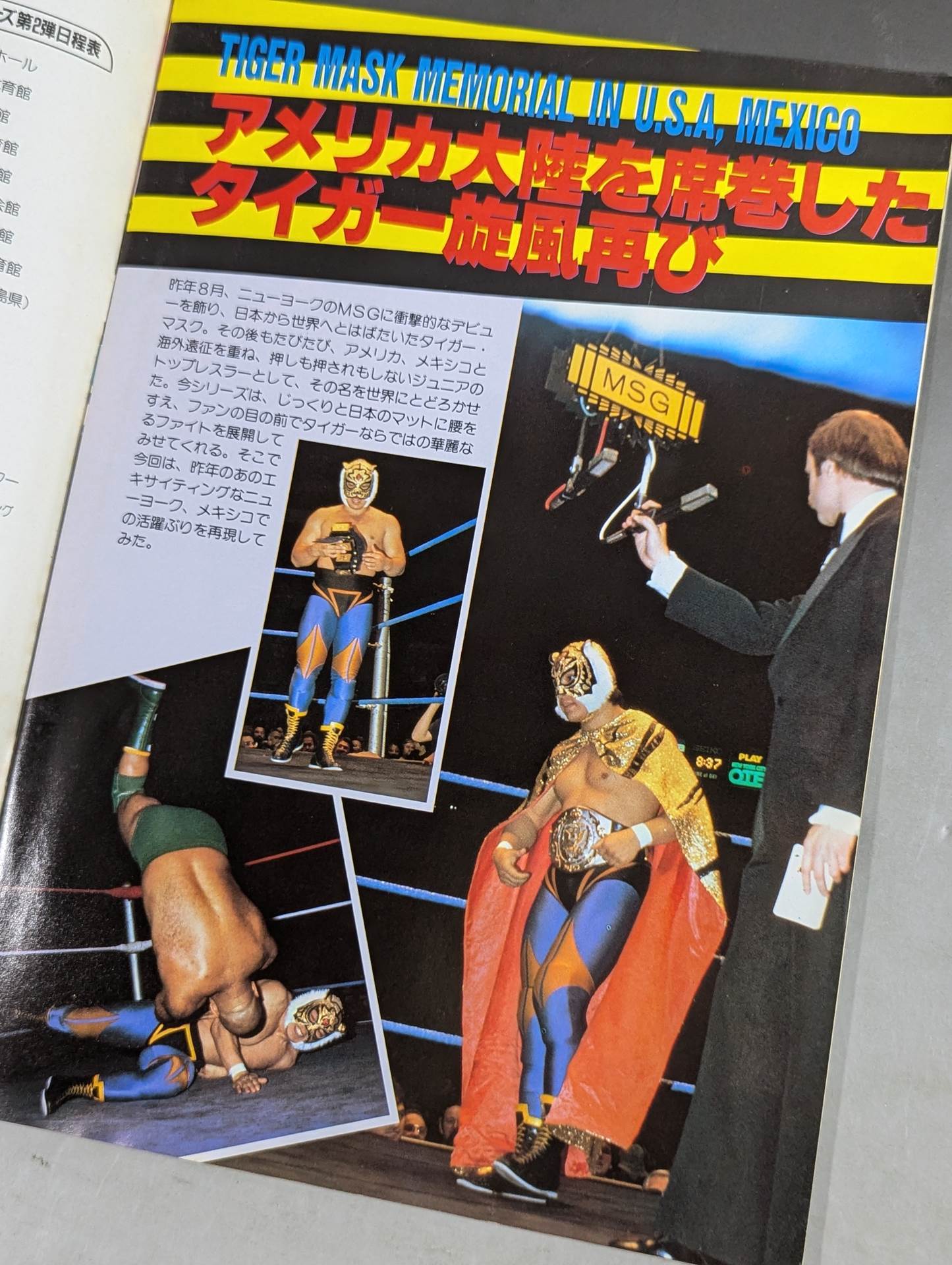 THE WRESTLER Big Fight Series Vol.2 Vol.16