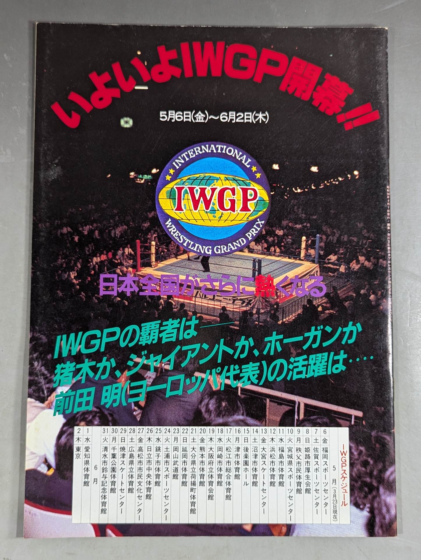 THE WRESTLER Big Fight Series Vol.2 Vol.16