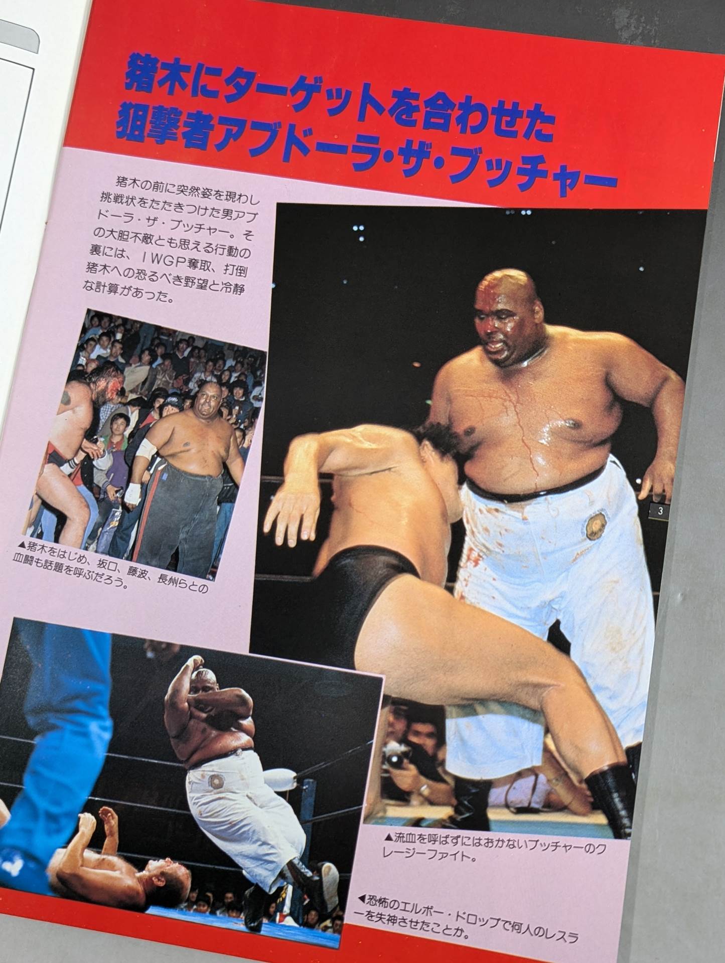 THE WRESTLER Summer Fight Series Vol.2