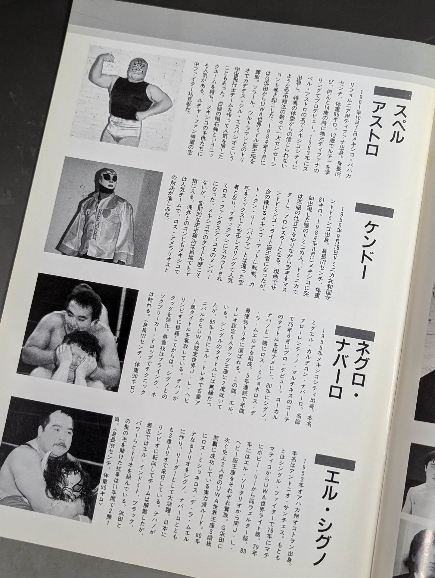 LUCHA MANIA No.2 (Vol.2)