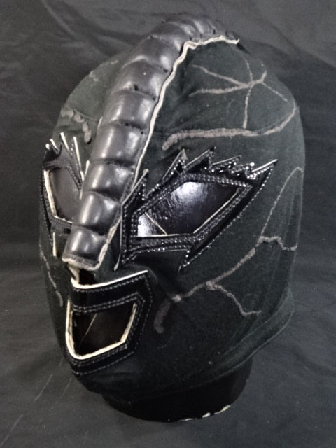 ビッグバン・ベイダー