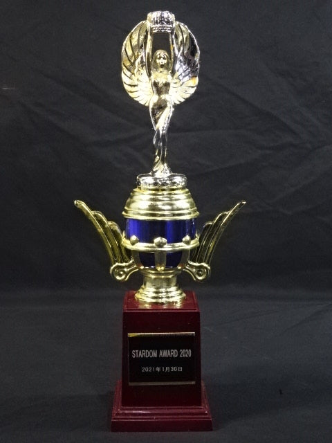 ★STARDOM AWARD 2020★ レプリカ記念トロフィー
