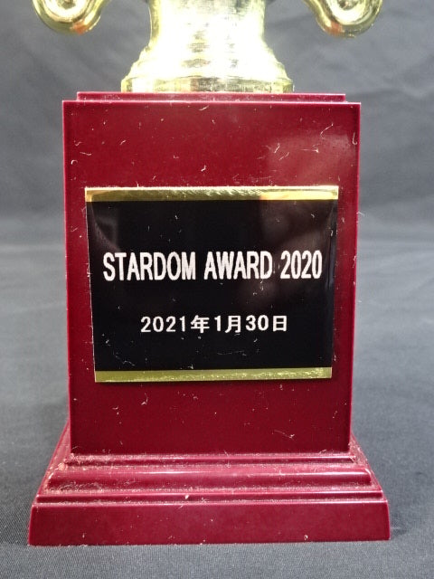 ★STARDOM AWARD 2020★ レプリカ記念トロフィー