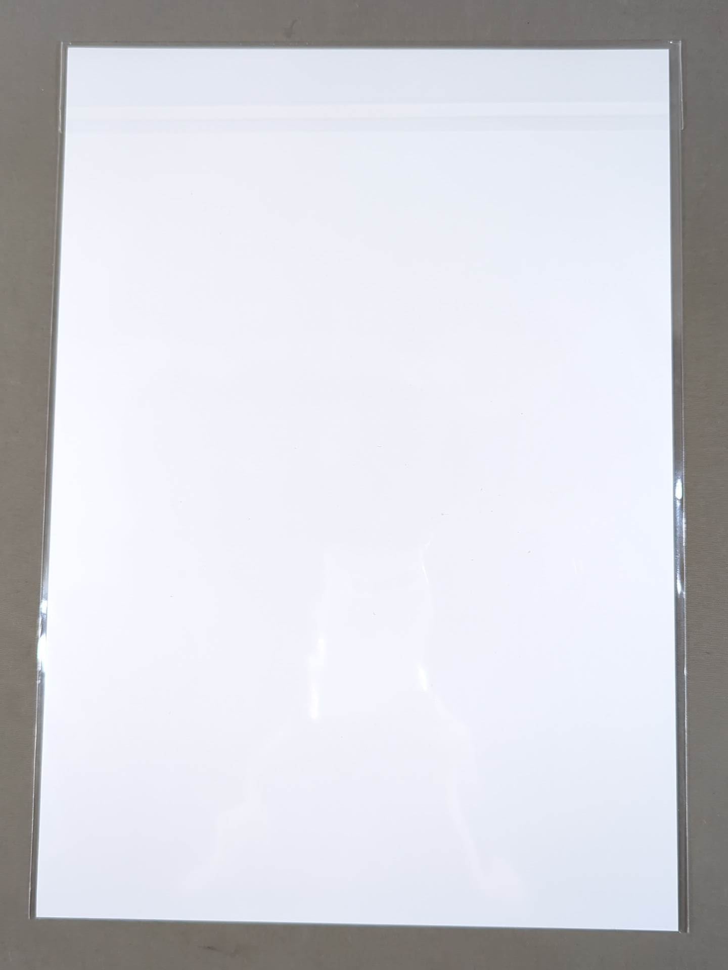 Mina Shirakawa  Stardom ×TOWER RECORDS  Pro-Photo  2022