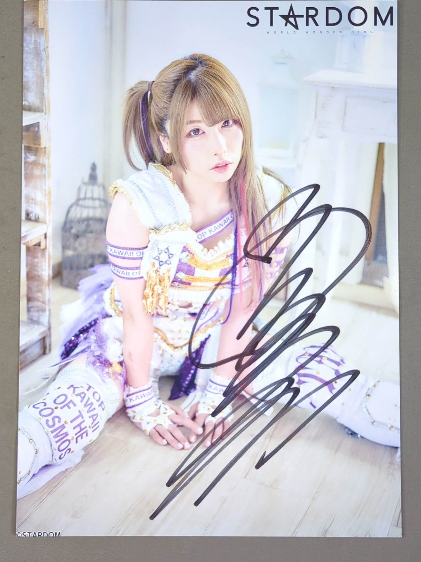 スターダム 中野たむ なつぽい 直筆サイン入り 写真集 mirage 中野たむ＆なつぽい 直筆Wサイン入り 記念フォトフレーム