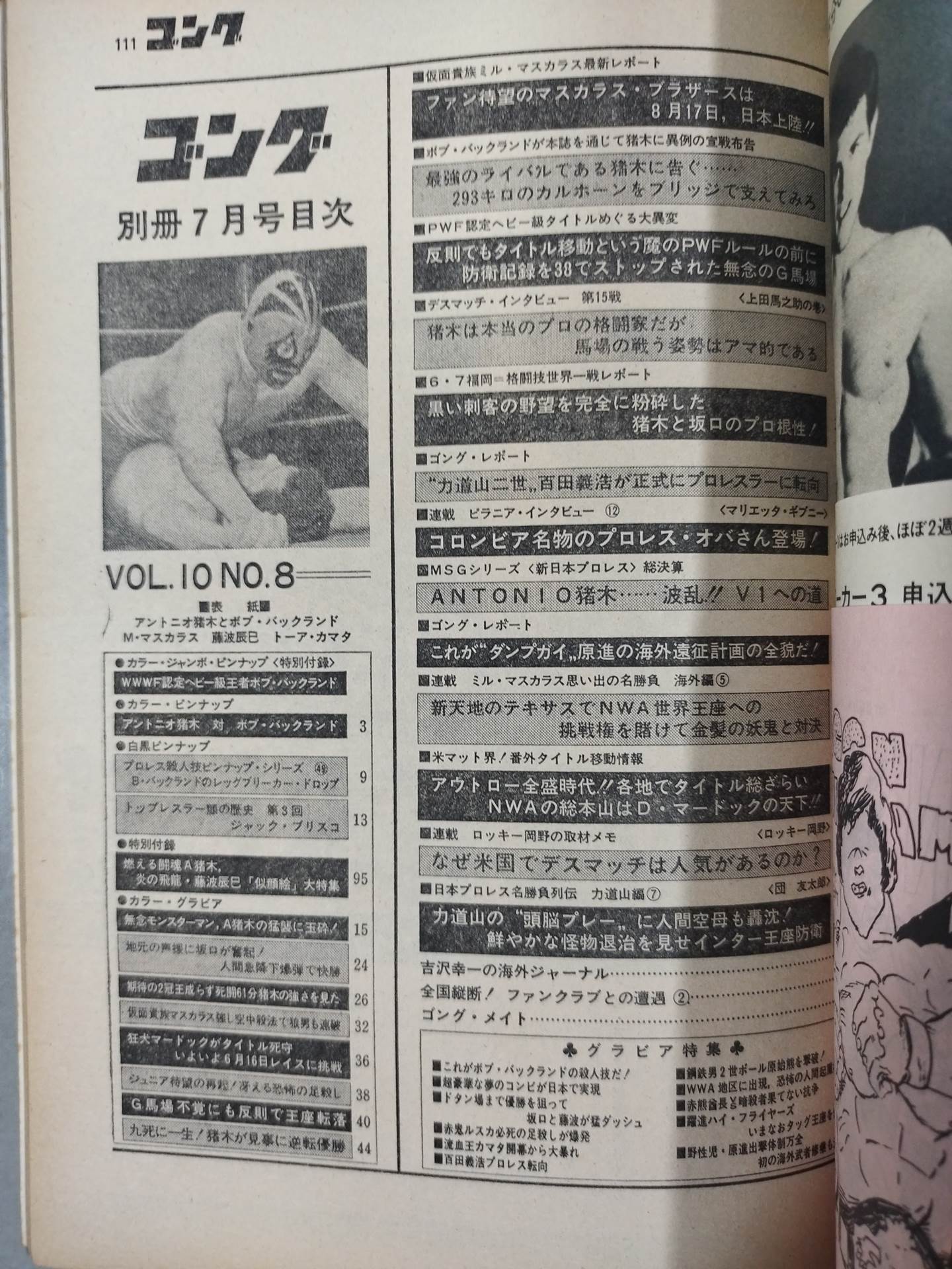 Separate Gong Vol.10 No.8