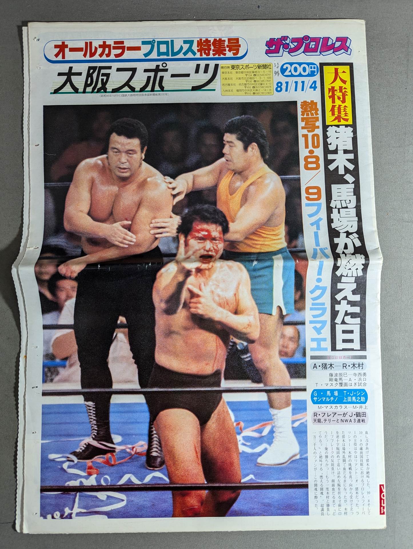 The Pro Wrestling 14