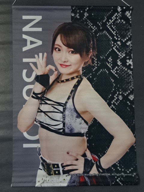 AppBank Store限定 なつぽい タペストリー