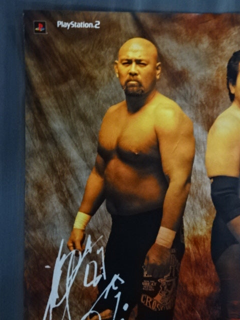 ALL STAR PRO Wrestling II. Advertising Poster