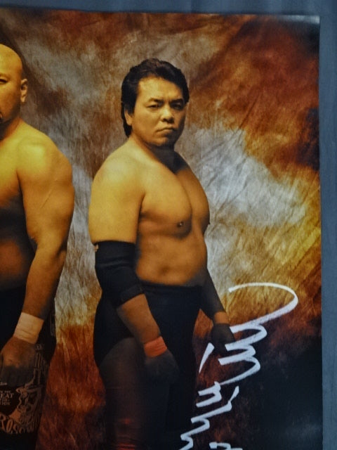 ALL STAR PRO Wrestling II. Advertising Poster