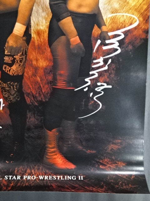 ALL STAR PRO Wrestling II. Advertising Poster