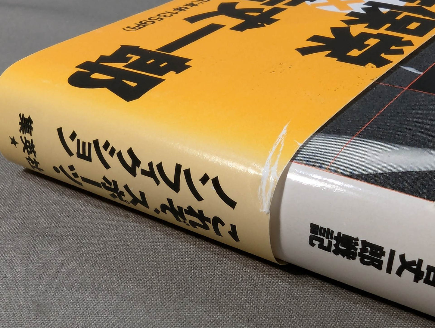 バンタム(軍鶏)の勝算 薬師寺保栄×辰吉丈一郎戦記