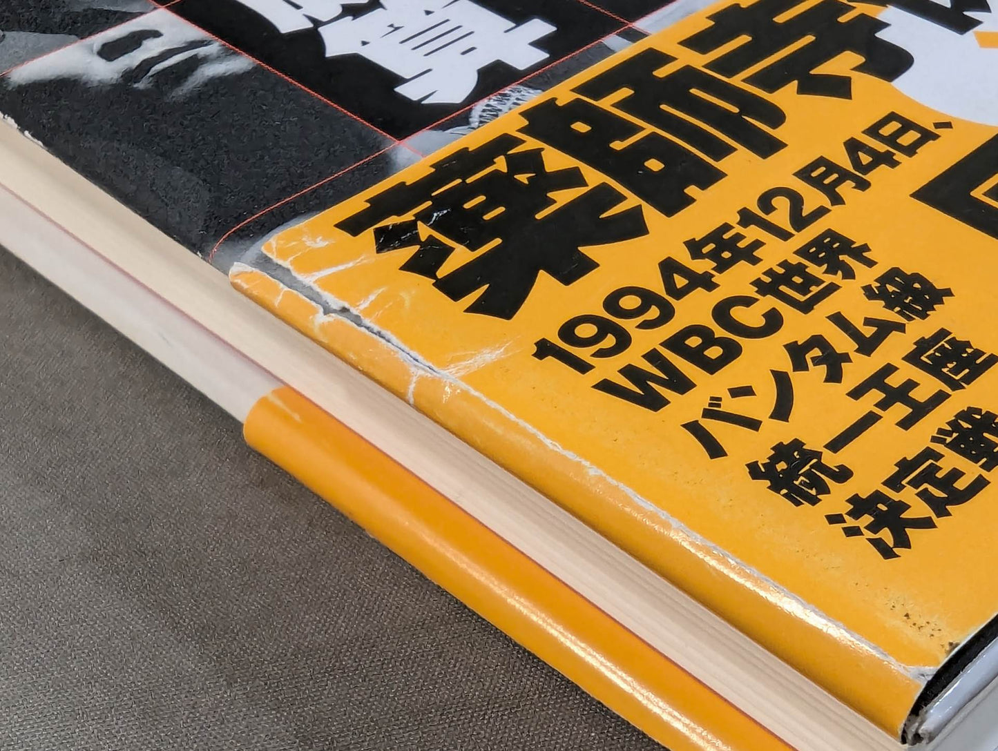バンタム(軍鶏)の勝算 薬師寺保栄×辰吉丈一郎戦記
