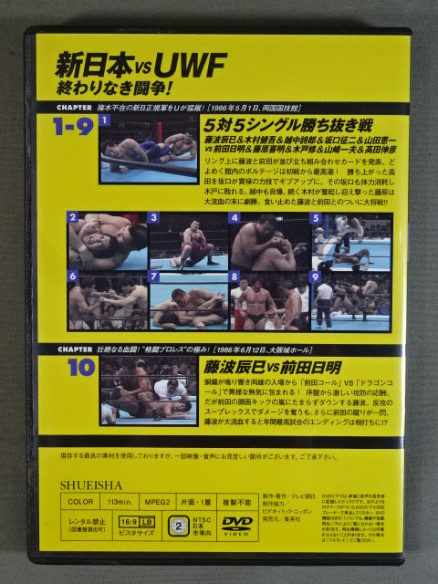 Burn! New Japan Pro Wrestling vol.22