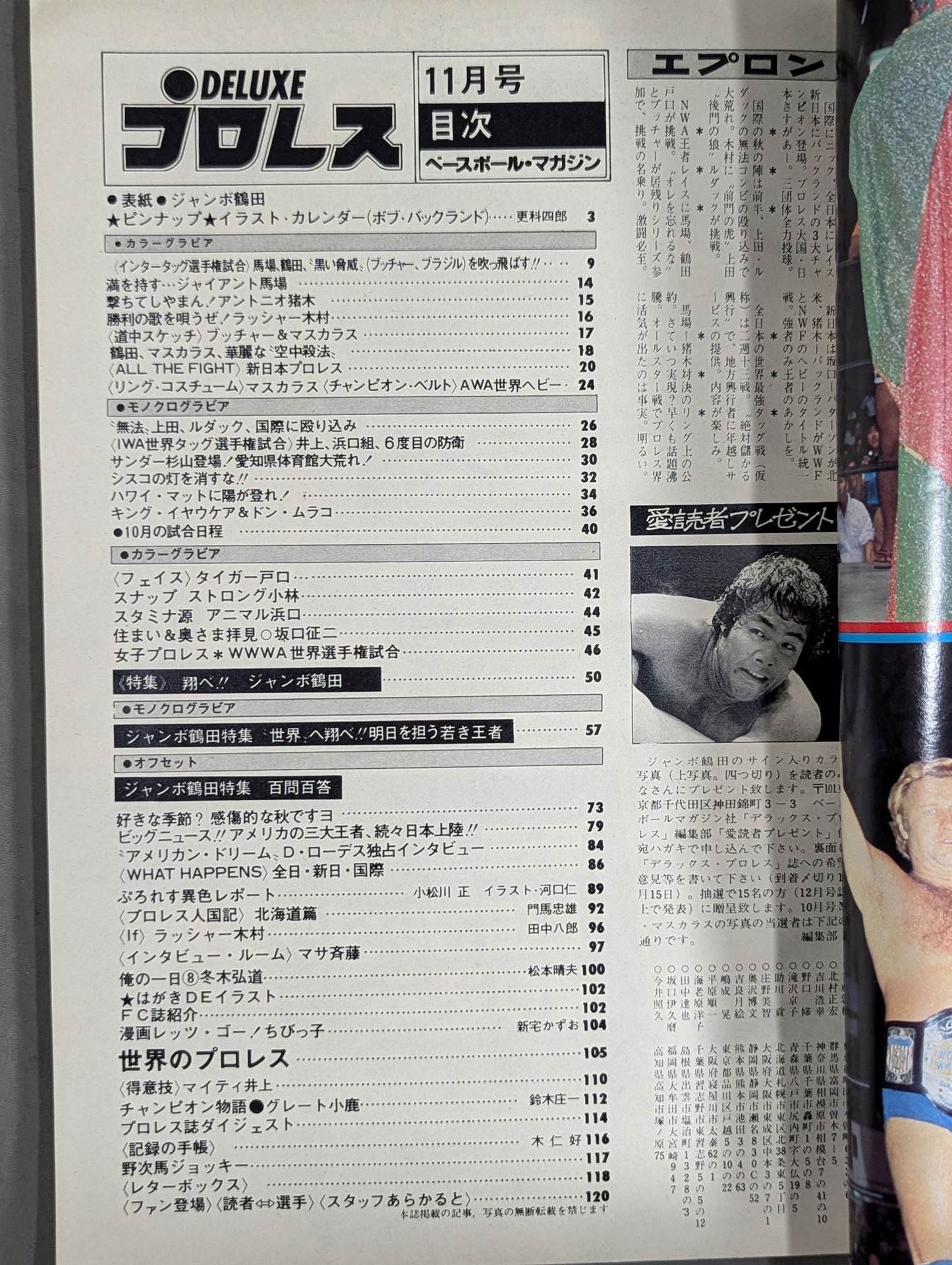 Deluxe Pro Wrestling November 1979 issue