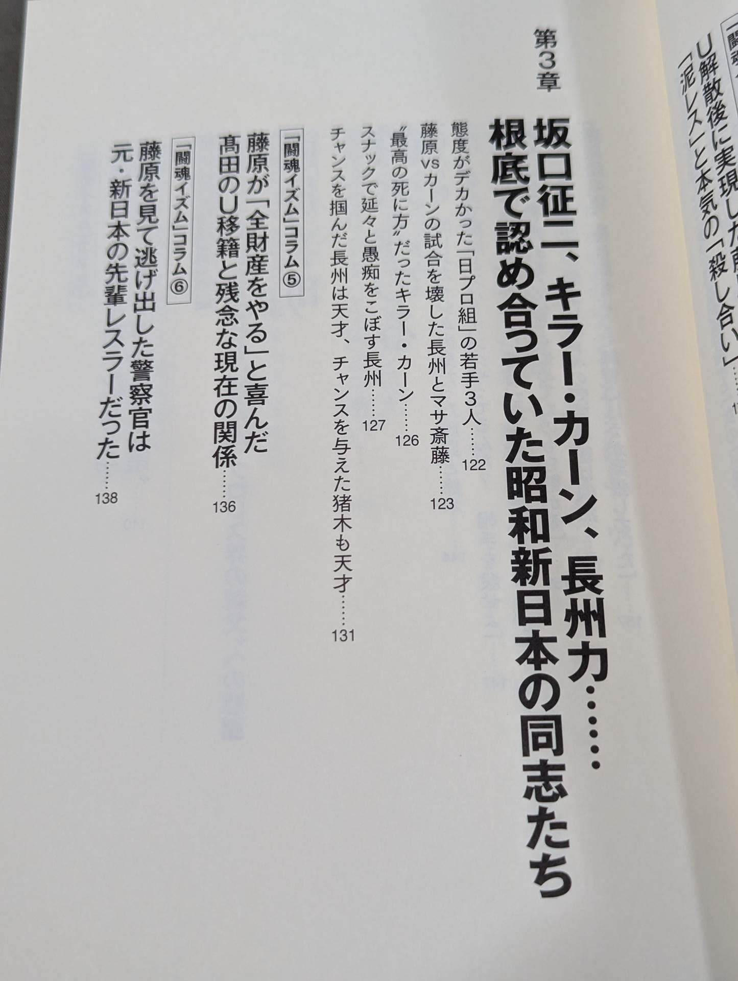 I'll die for Inoki !2 Requiem for the inheritors of "Fighting Spirit-ism"